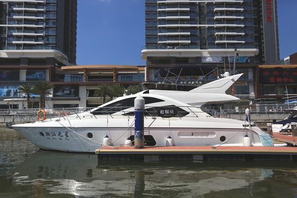 太陽鳥 63 太陽鳥 63