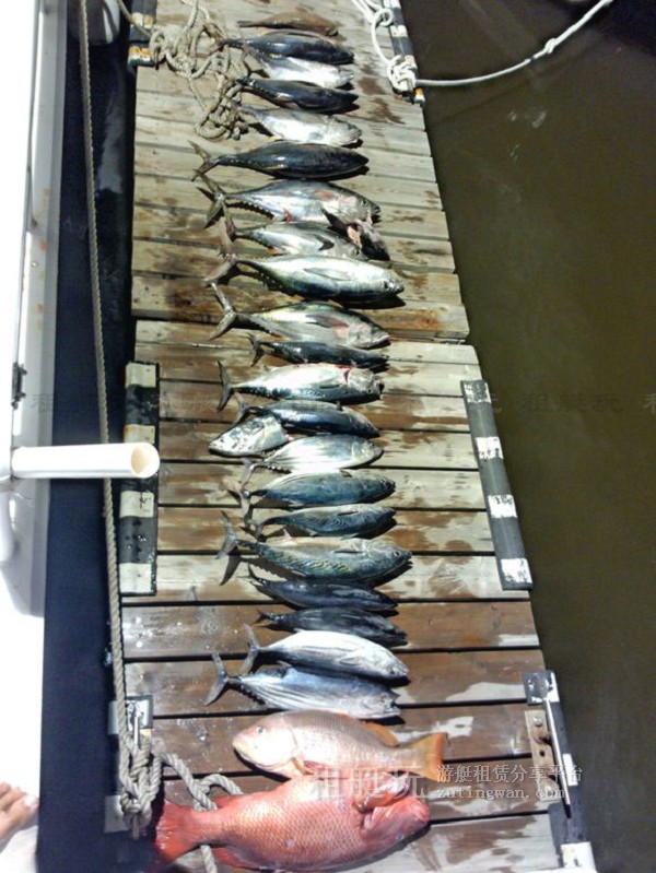 三亞海釣目的地推薦，租艘釣魚艇去海釣吧！