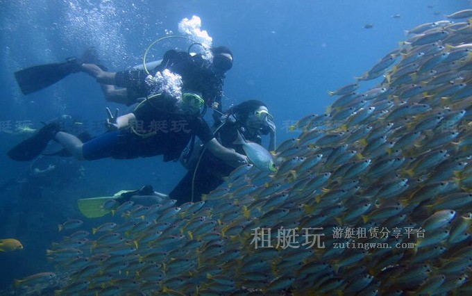 租游艇出海玩什么?十類炫酷水上玩具 租游艇出海玩什么?十類炫酷水上玩具